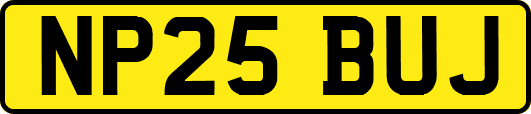 NP25BUJ