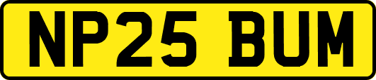 NP25BUM