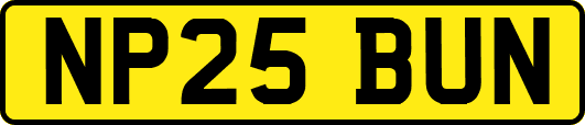NP25BUN