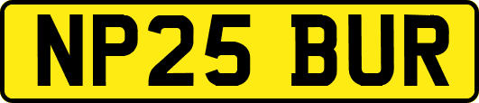 NP25BUR