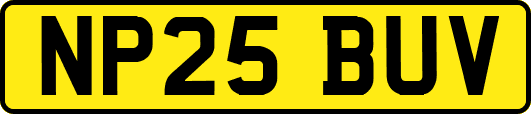 NP25BUV