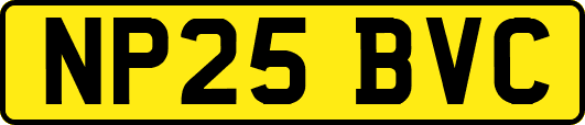 NP25BVC