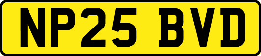 NP25BVD