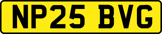NP25BVG