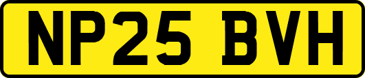 NP25BVH