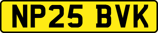 NP25BVK