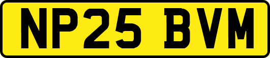 NP25BVM