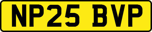 NP25BVP