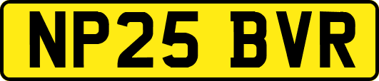 NP25BVR