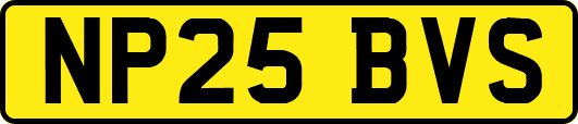 NP25BVS