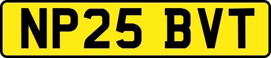 NP25BVT