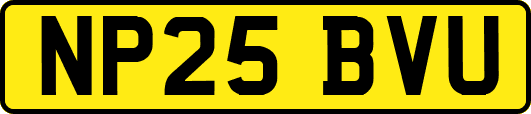 NP25BVU