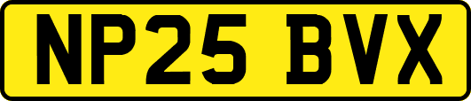 NP25BVX