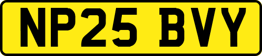 NP25BVY