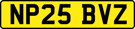NP25BVZ