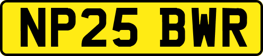 NP25BWR