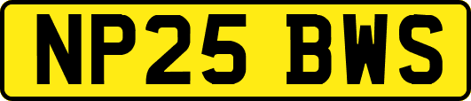 NP25BWS