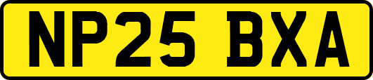 NP25BXA