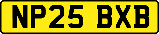 NP25BXB