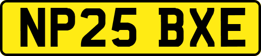 NP25BXE
