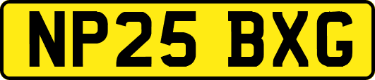 NP25BXG