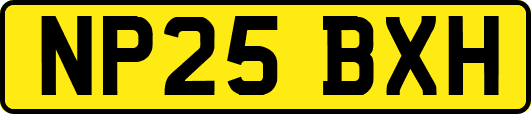 NP25BXH