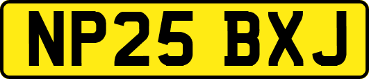 NP25BXJ