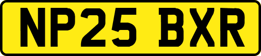NP25BXR