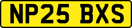 NP25BXS