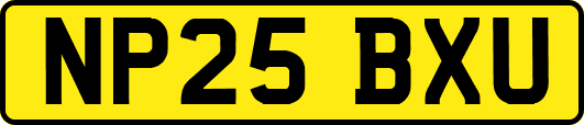 NP25BXU