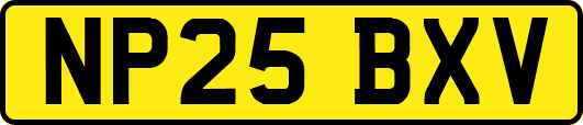 NP25BXV