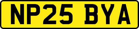 NP25BYA