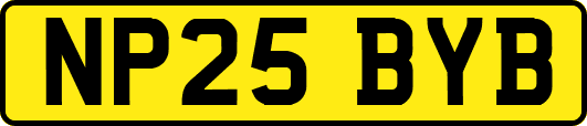 NP25BYB
