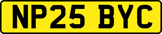NP25BYC