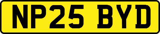 NP25BYD