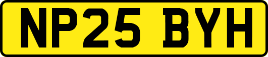 NP25BYH