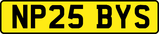 NP25BYS