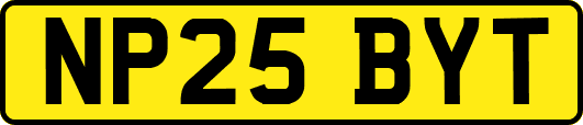 NP25BYT