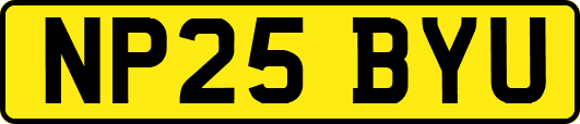 NP25BYU