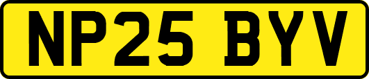 NP25BYV