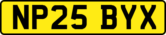 NP25BYX