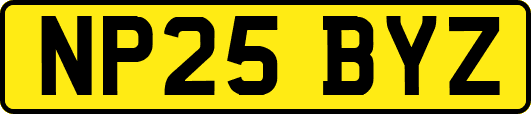 NP25BYZ