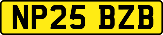 NP25BZB
