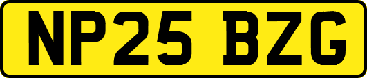 NP25BZG