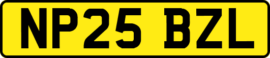 NP25BZL