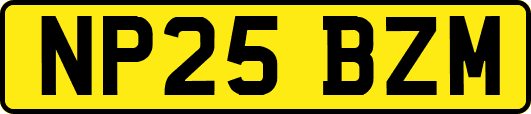 NP25BZM