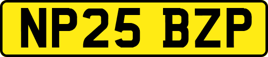 NP25BZP