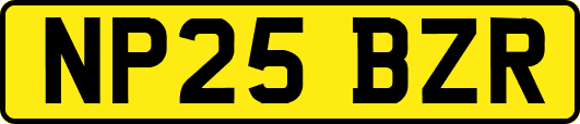 NP25BZR