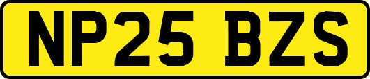 NP25BZS