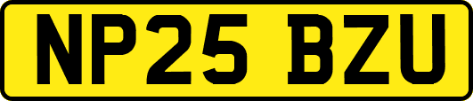 NP25BZU